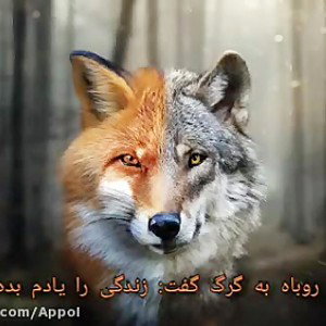 1380یخزده