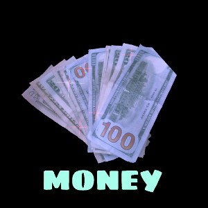 FLEX-MONEY