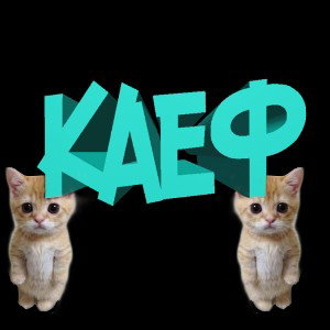 FLEX-🤤КАЕФ🤤