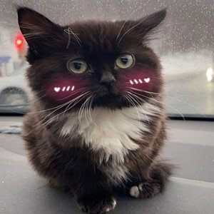 Я Фрэшмен