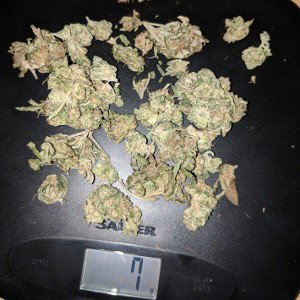 7G