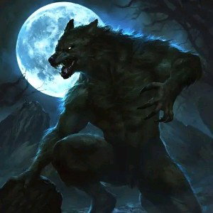 Lone wolf🐺
