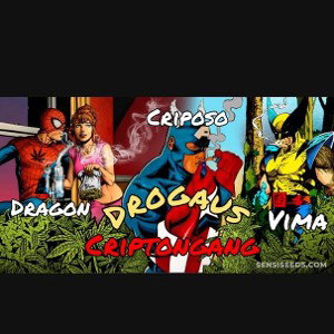 drogaus ft criposo y dragon