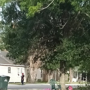 Outside in the shade 