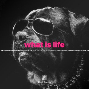 what is life