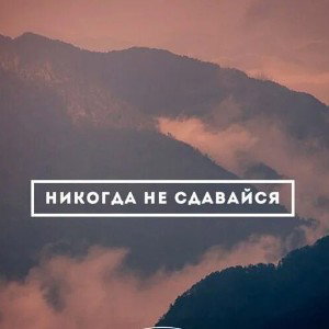 не сдаваться 