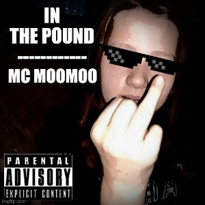 In The Pound
