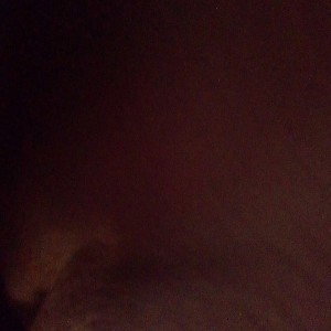 real music n****** can't see me