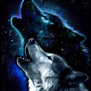 lone wolf
