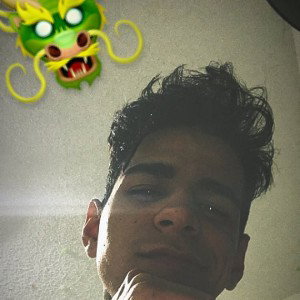 El sarten