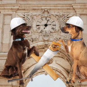 buildin lanez.F$