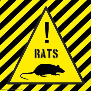 Ratz