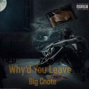WhydYouLeave 