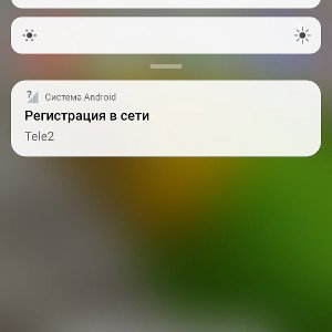 попа