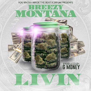 Breezy Montana x Livin' (prod.Gmoneybaby) rough