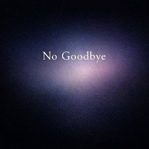 No Goodbye