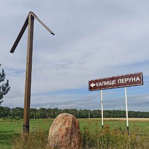паутина рассудка