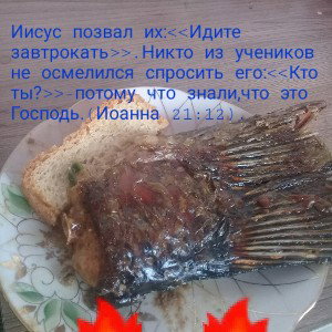 Кто работает,тот ест! ТАК НАДО.