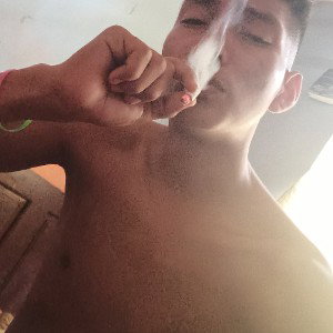 freestyle  1.zk