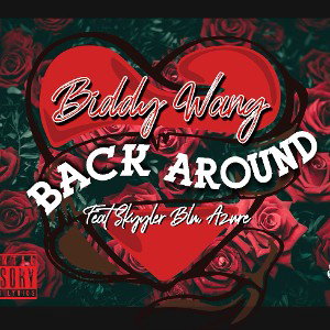 biddy wang - back around (ft s
