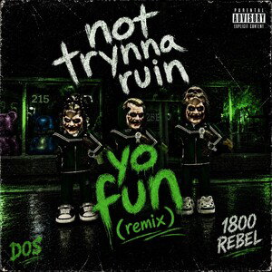 not trynna ruin yo fun (remix)