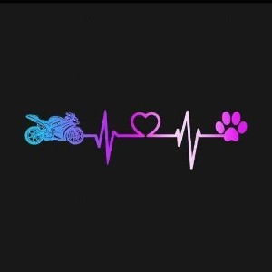 love rap el # 03 