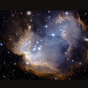 St⭐️r Dust