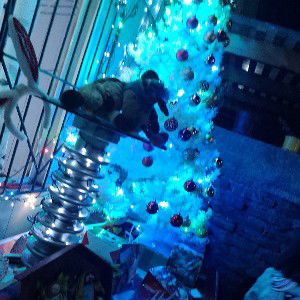 electro chok