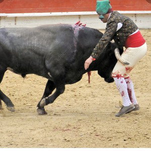 🐂♉🐂DnT F#cK With A Bull🐂♉