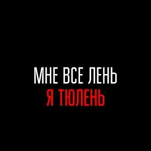 промо