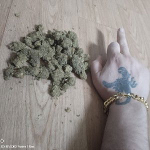 Freestyle kung poo