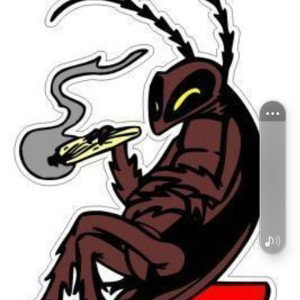smokingwithroaches