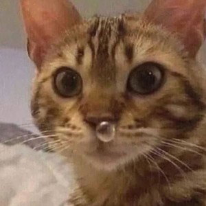 Molly’s Coca-Cola 
