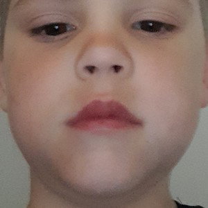 бебра
