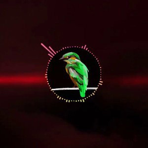 [FREE] Greenfinch - Espoir de réconfort (Hip Hop Instrumental / Old School)