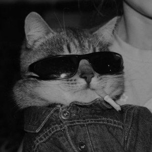 meh[Audio]