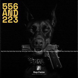 556 AND 223