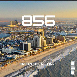 856 Freestyle 