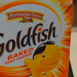 goldfish