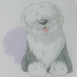 shaggy dog