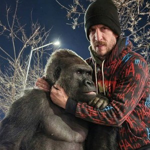 gorilla don't want this