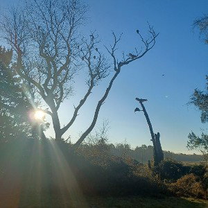 blow em off the map
