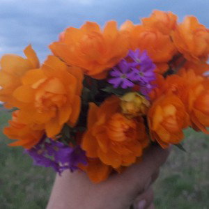 Злоба (11:25)