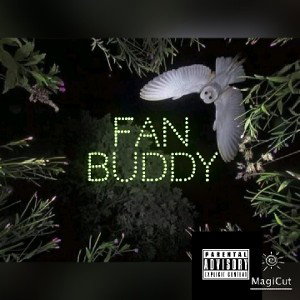 fanbuddy- the struggle