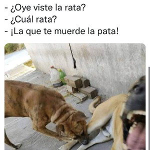 maldita 