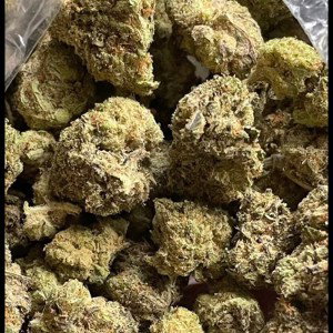 TRAPPER