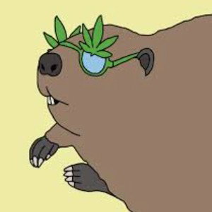 Animals in the bushes
