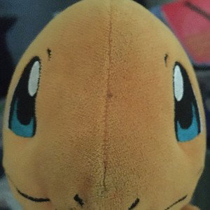 Charmander Is The Best