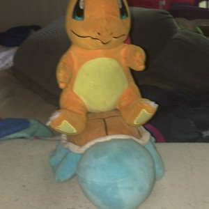 Squirtle Sucks