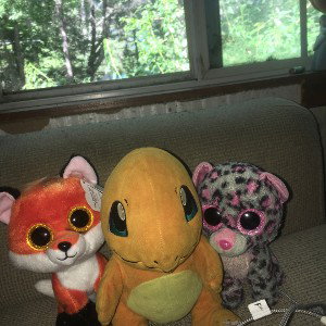Charmander Is The Best Remix